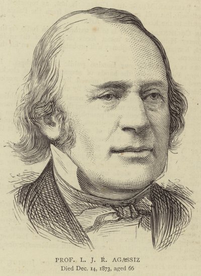 Professeur L J R Agassiz (gravure) - English School