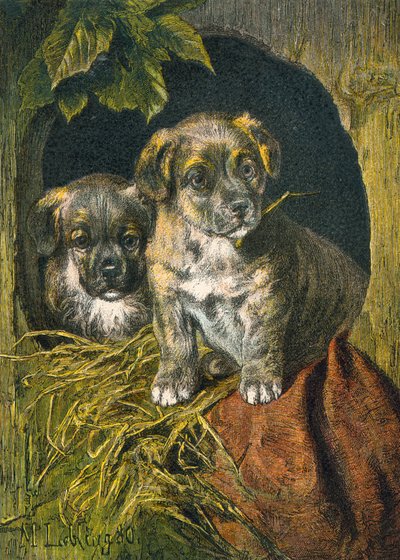 Chiots, première apparition - English School