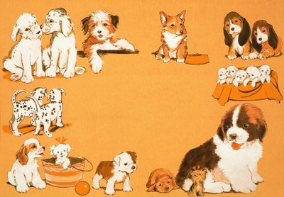 Chiots - English School
