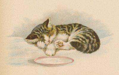 Chaton - English School