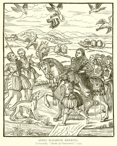 La reine Élisabeth chassant au faucon - English School
