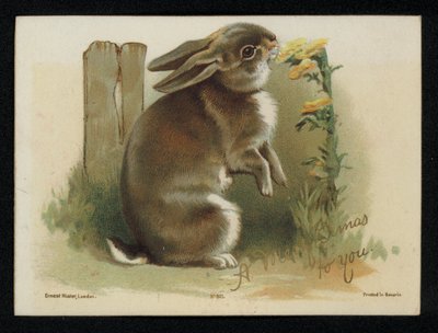 Lapin mangeant des fleurs jaunes, carte de vœux de Noël - English School