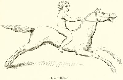 Cheval de course - English School