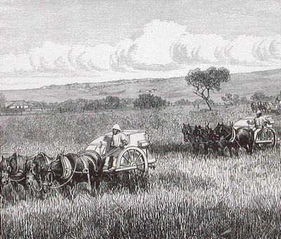 Moisson, Sud Adelaide, Australie - English School