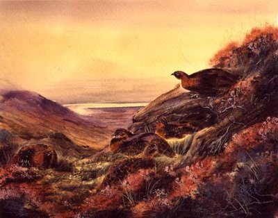 Tétras rouge dans la lande, c.1890 - English School