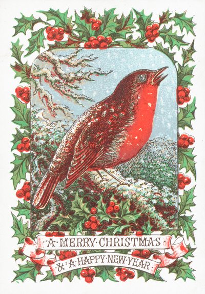 Rouge-gorge assis sur une branche, carte de Noël - English School