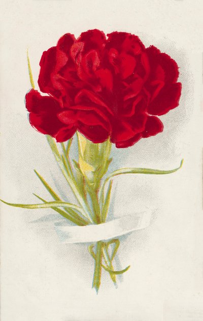 Œillet rouge (chromolitho) - English School