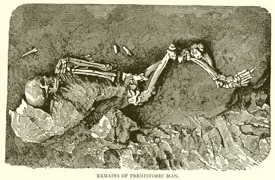 Restes de l