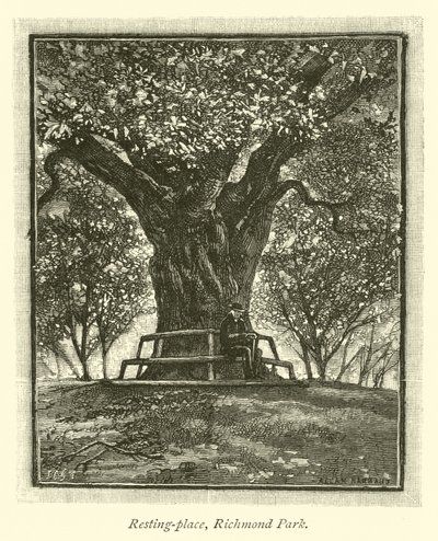 Lieu de repos, parc de Richmond - English School