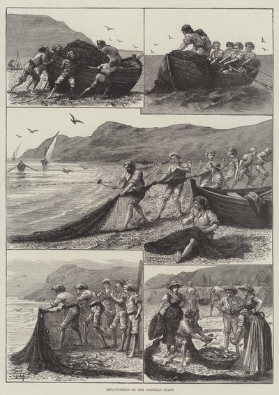 Pêche à la reta sur la côte corse (gravure) - English School