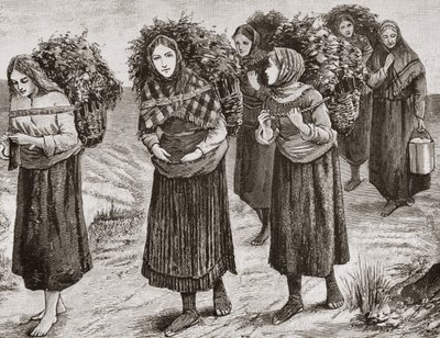 Retour de la transhumance, les Hébrides vers 1880, de 