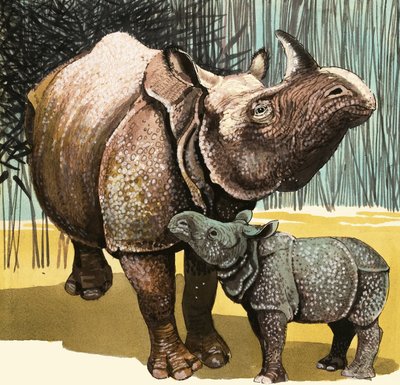 Rhinocéros et bébé rhinocéros - English School