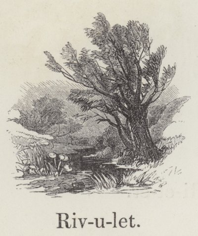 Ruisselet - English School