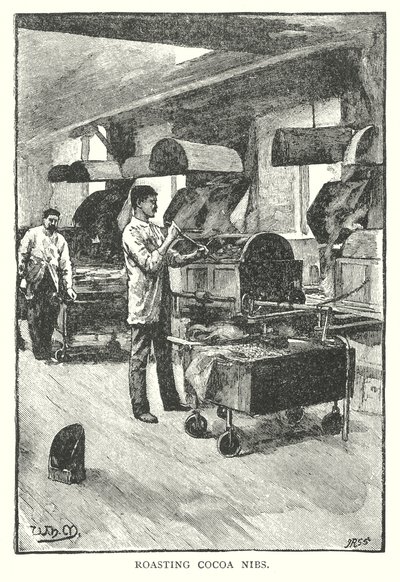 Torréfaction des grenailles de cacao (gravure) - English School