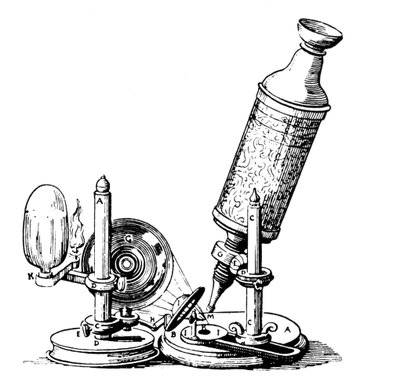 Microscope de Robert Hooke - English School