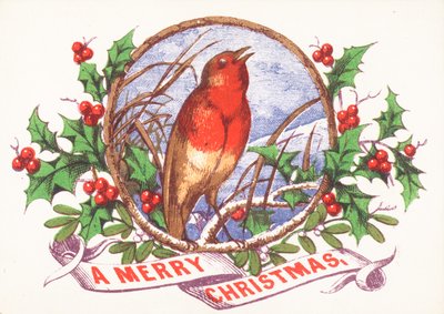 Rouge-gorge chantant sur une branche, carte de Noël - English School
