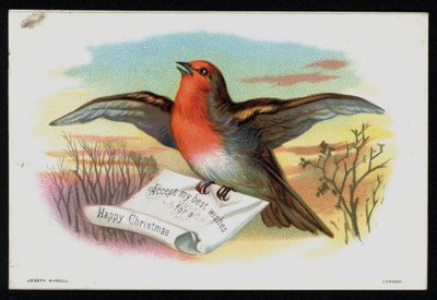 Rouge-gorge avec un message de Noël, carte de vœux - English School