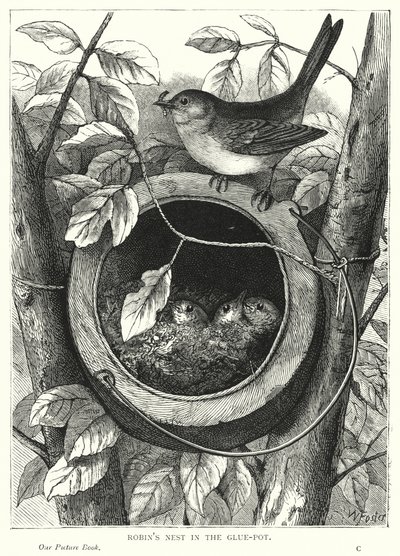 Nid de rouge-gorge dans le pot de colle - English School