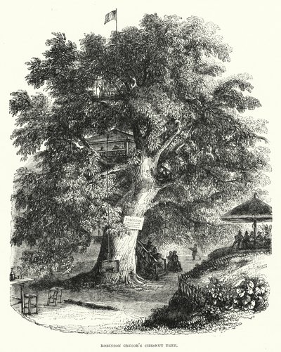 Le châtaignier de Robinson Crusoé - English School