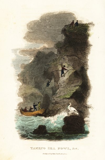 Chasseurs de rochers chassant des goélands skuas et des œufs aux îles Féroé - English School