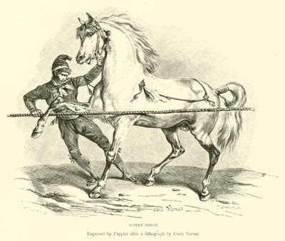 Cheval romain - English School