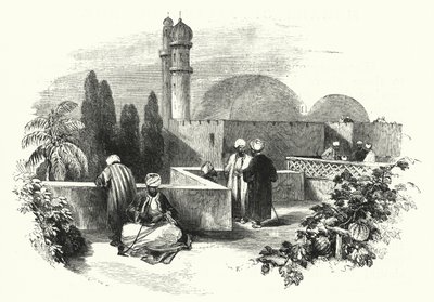 Terrasse sur le Toit - English School