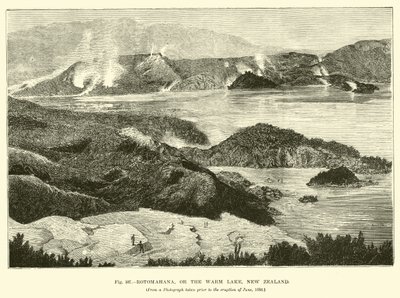 Rotomahana, ou le lac chaud, Nouvelle-Zélande - English School