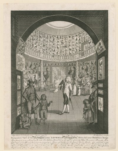 Rotonde au musée Leverian - English School