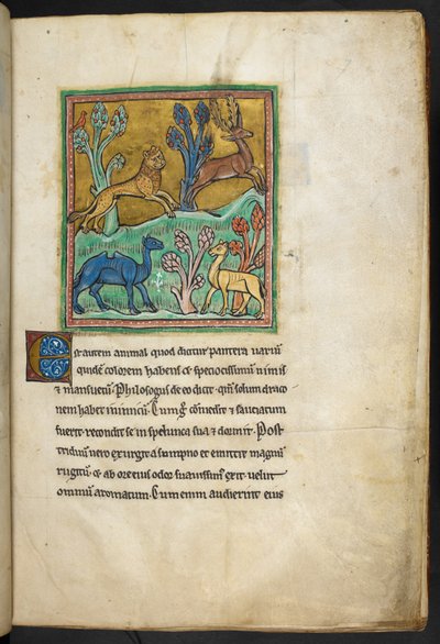 Un léopard chassant un cerf, avec un chameau et un autre animal - English School