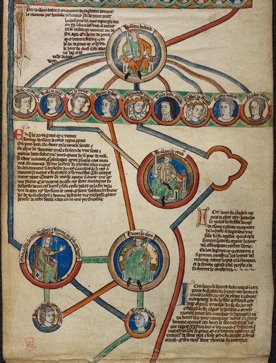 Détail de la membrane 5 