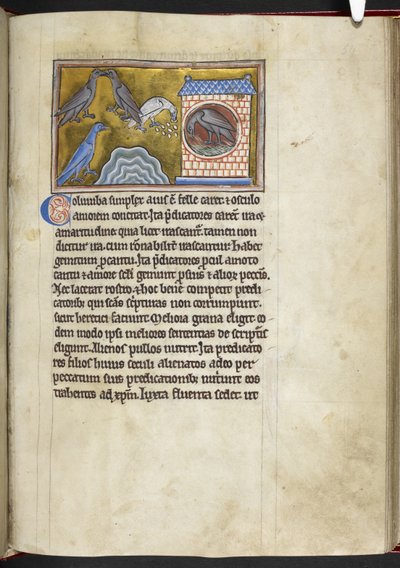 Colombes, du 