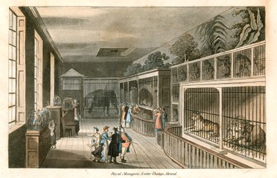 Royal Menagerie, Exeter Change, Strand (gravure en couleur) - English School