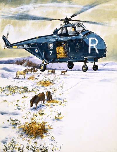 Hélicoptère de la Royal Navy utilisé pour le sauvetage d