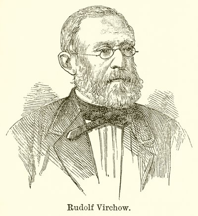 Rudolf Virchow - English School