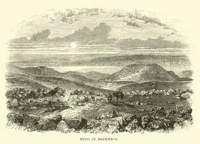 Ruines de Machaerus - English School