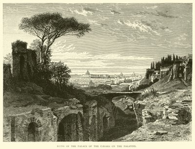 Ruines du Palais des Césars sur le Palatin - English School