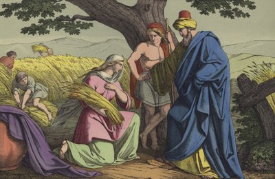 Ruth et Boaz - English School