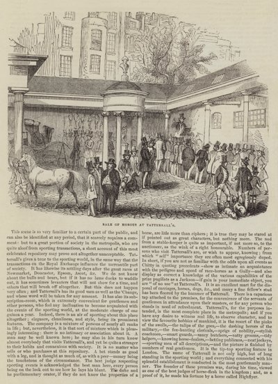 Vente de Chevaux chez Tattersall - English School