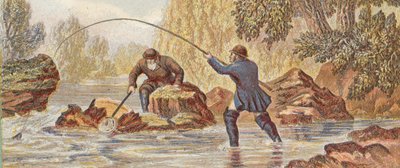 Pêche au saumon - English School