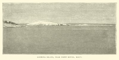 Île de Salmona, près de Point Koura, Malte - English School