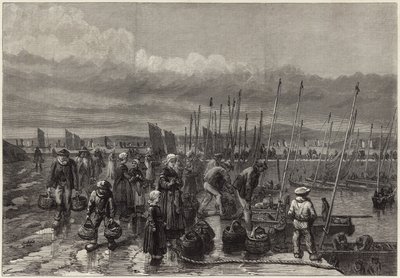 Pêche à la sardine sur la côte bretonne - English School