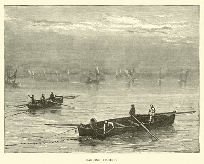 Pêche à la sardine - English School