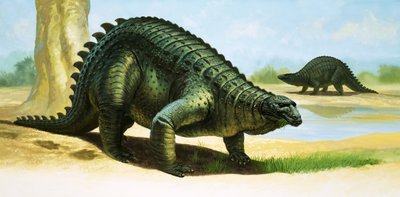 Scélidosaurus - English School