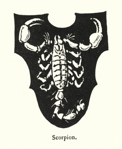 Scorpion (gravure) - English School