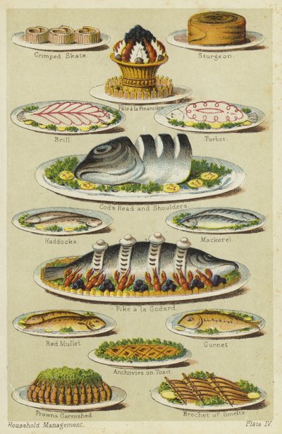 Plats de fruits de mer et poisson - English School
