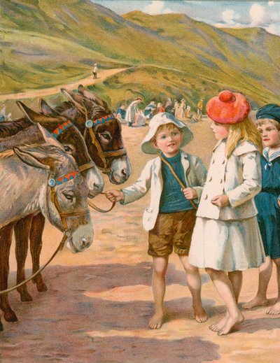 Favoris de la plage - English School
