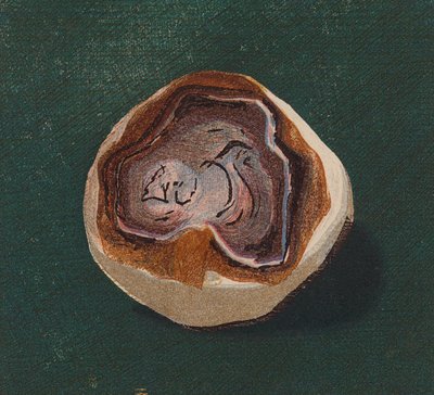 Galet de bord de mer - English School