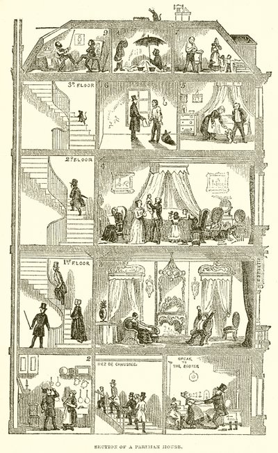 Section d