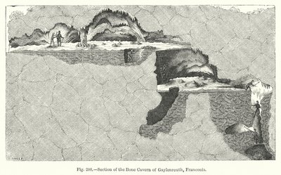Section de la caverne osseuse de Gaylenreuth, Franconie - English School