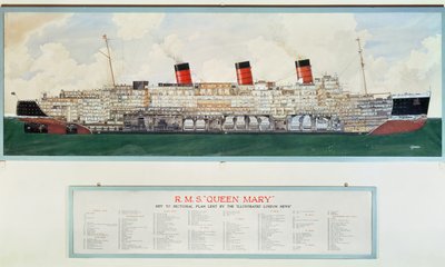 Plan de coupe du R.M.S. Queen Mary par G.Havis (plan du 20e siècle) - English School